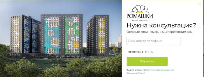 Форма заказа обратного звонка ЖК Ромашки на фото Обратный звонок фото